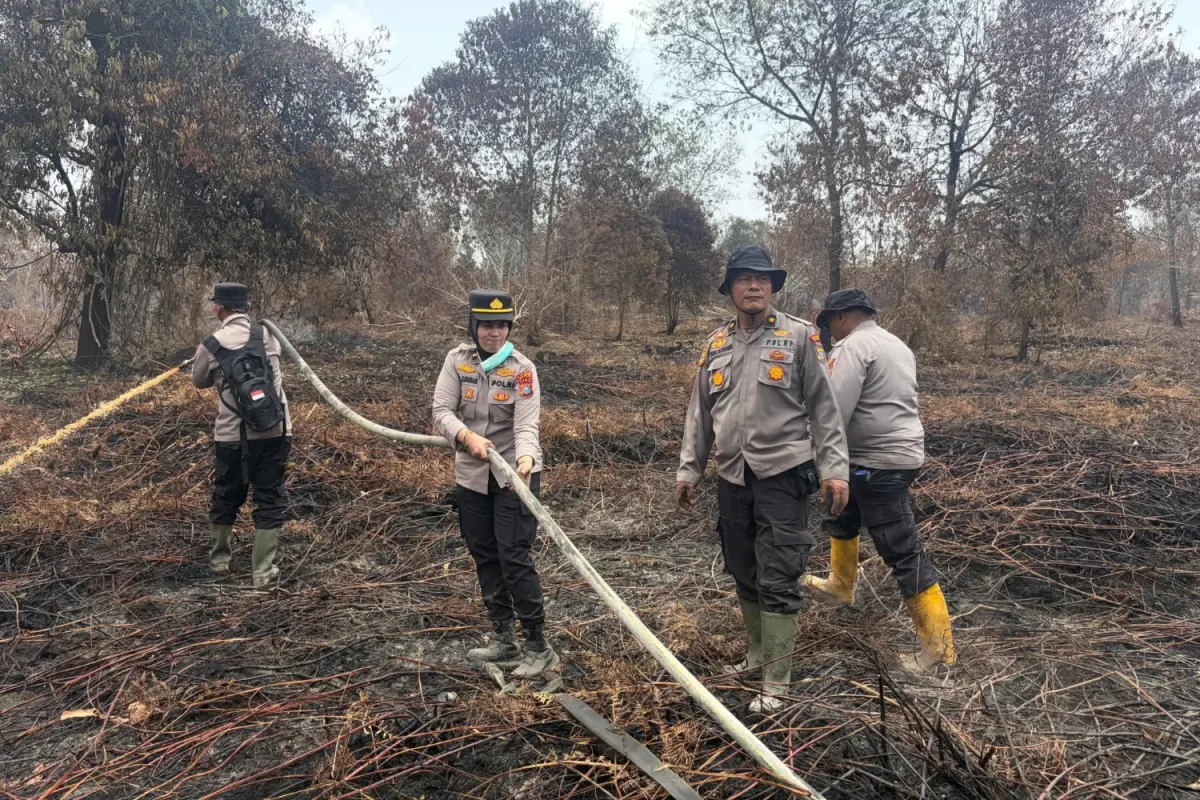 7 Hari Berjibaku, Akhirnya Tim Gabungan Berhasil Padamkan Karhutla di Dayun Siak