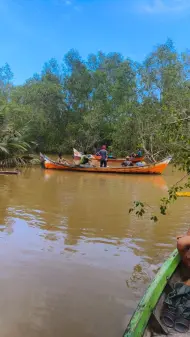 Asyik Cari Siput, Warga Kuala Patah Parang Inhil Tewas Dimangsa Buaya