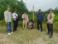 BBKSDA Riau Pantau Harimau di Pulau Burung Inhil dengan Drone dan Kamera Trap
