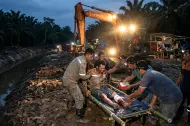 Diterkam Harimau, Nyawa Harianto Selamat karena Suara Mesin dan Silau Lampu