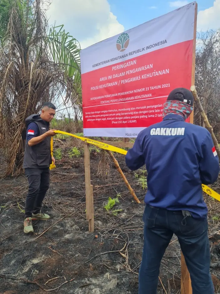 Gakkum Kemenhut Bongkar Modus Karhutla, 6 Perusahaan Ditindak, Mulai Jual Beli Kawasan Hingga Kebun Sawit