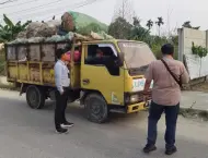 Gunakan Stiker LPS, Tiga Angkutan Sampah Ilegal Diamankan DLHK dan Satpol PP Pekanbaru