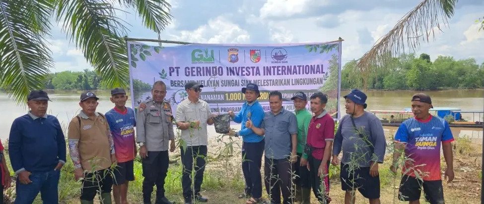 HUT Pekanbaru ke-242, PT Gerindo dan Nelayan Tanam 1.000 Mangrove di Tepian Sungai Siak