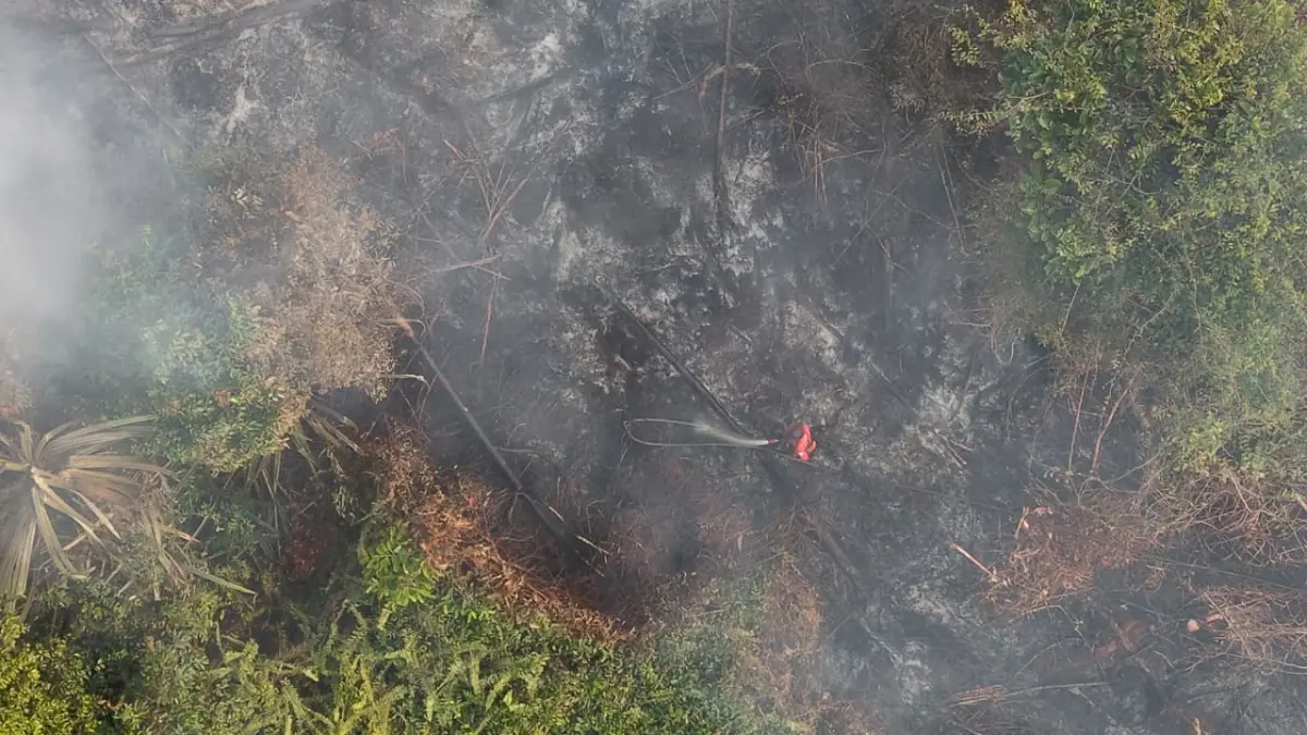Karhutla di Rimbo Panjang Kampar Padam, Manggala Agni Geser ke Bengkalis dan Inhu