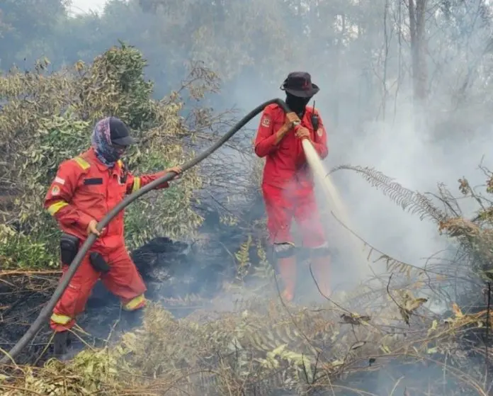 Karhutla Riau Mereda, Titik Panas Hanya Tersisa di Tiga Daerah