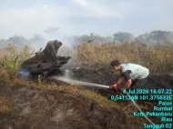 Kebakaran Sudah Hanguskan 43 Hektar Lahan di Pekanbaru