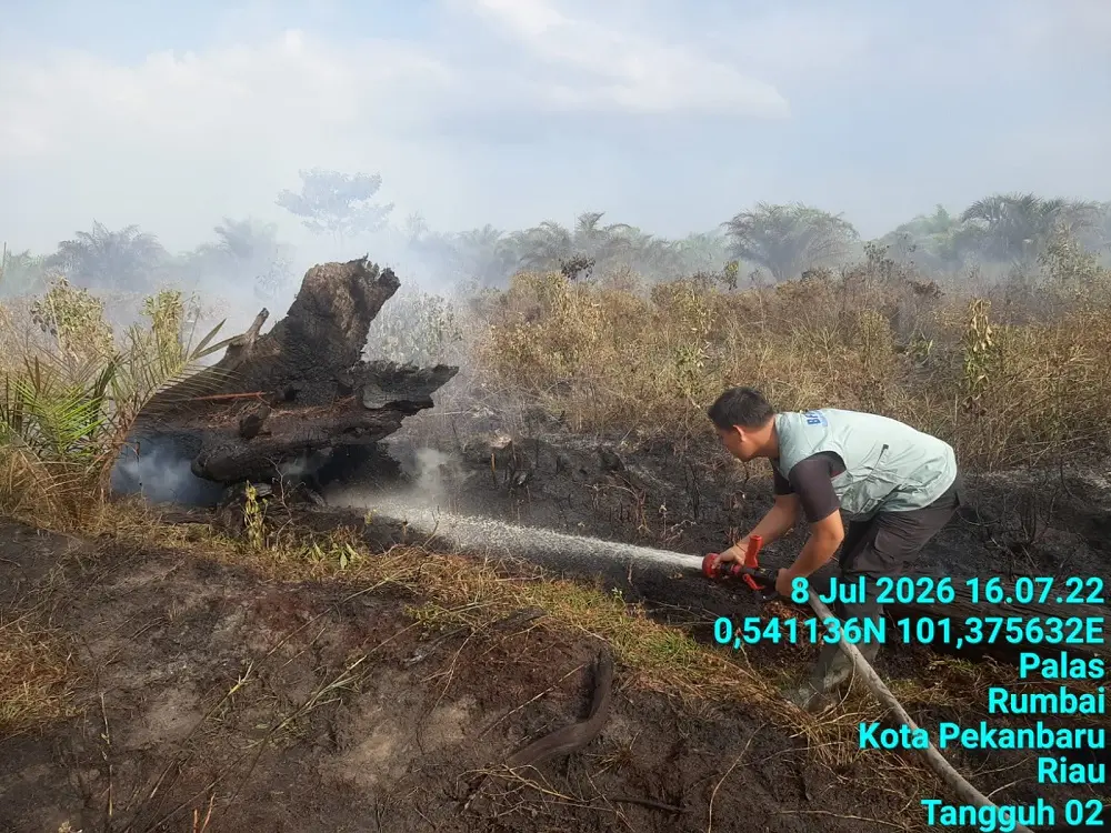 Kebakaran Sudah Hanguskan 43 Hektar Lahan di Pekanbaru