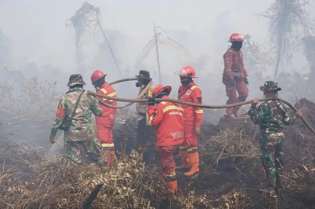 Manggala Agni Berjibaku Padamkan Karhutla di 10 Titik Lokasi Riau