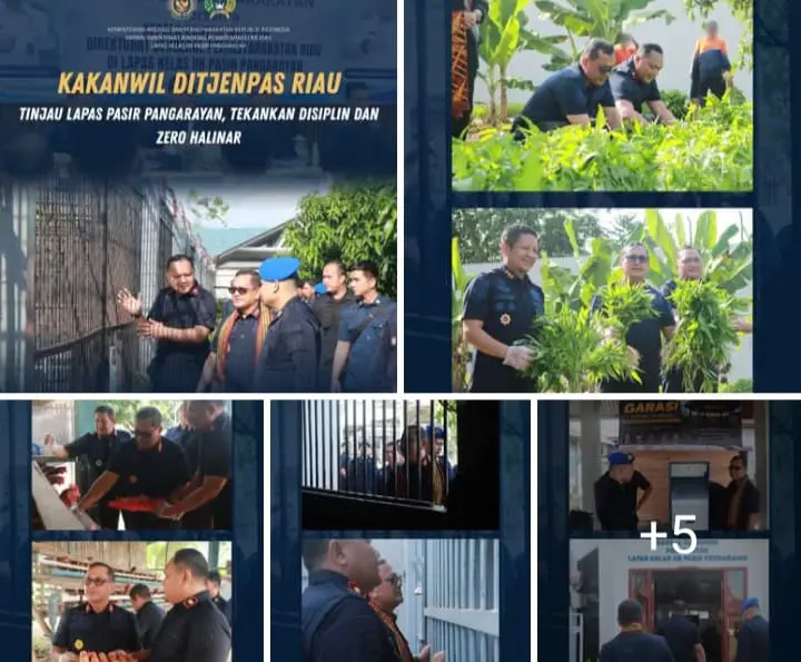 Panen Kangkung dan Patroli Blok, Kakanwil Ditjenpas Riau Apresiasi Lapas Pasir Pangaraian