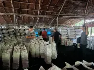 Rusak Hutan Mangrove, Polisi Sita 100 Ton Arang Bakau Ilegal Siap Ekspor ke Malaysia, 3 Orang Jadi Tersangka