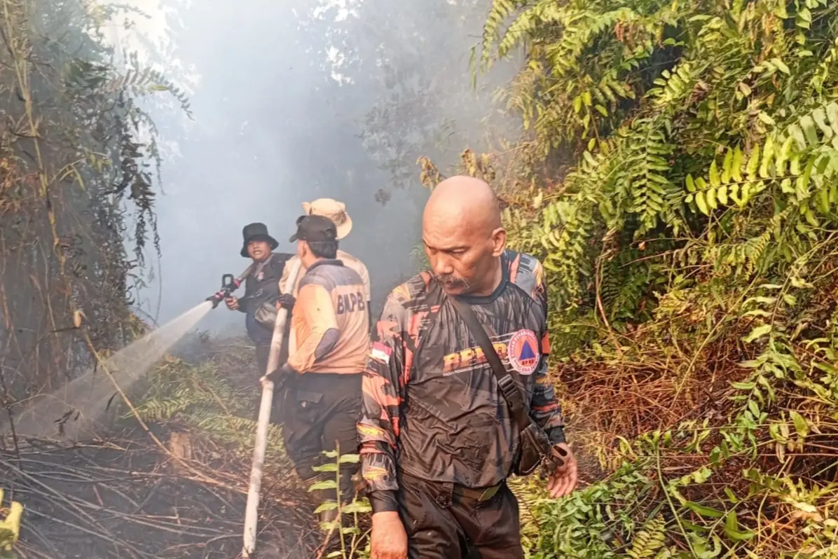 Sempat Padam, Siang ini Karhutla Kembali Muncul di Sungai Beringin Tembilahan