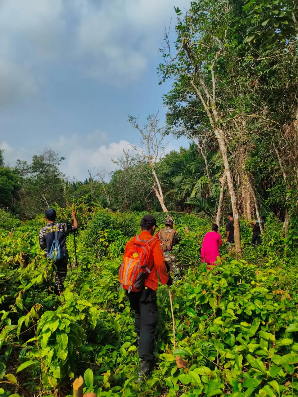Sudah 4 Hari Lansia di Meranti Hilang, Tim SAR Sisir Area Kebun Radius 2 KM