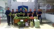 Sulap Lahan Rutan Jadi Produktif, Warga Binaan Manna Panen Raya 80 Kg Sayur Segar