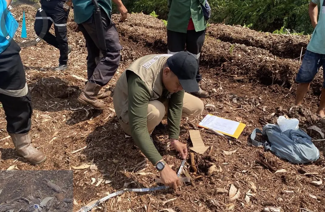 Tragis! Bocah di Pelalawan Tewas Diterkam Harimau Saat Temani Kakaknya Cuci Piring