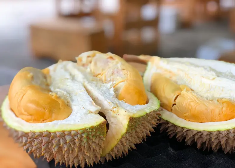 Wajib Dicoba, Empat Unggulan Durian Bengkalis Bersertifikat Kementan yang Banyak Diburu
