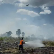 Thumbnail 123 Titik Api di Riau, Forkopimda Langsung Gelar Patroli Udara Pantau Karhutla