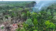 Thumbnail Bakar Lahan, Petani Sagu di Bengkalis Ditangkap Polisi