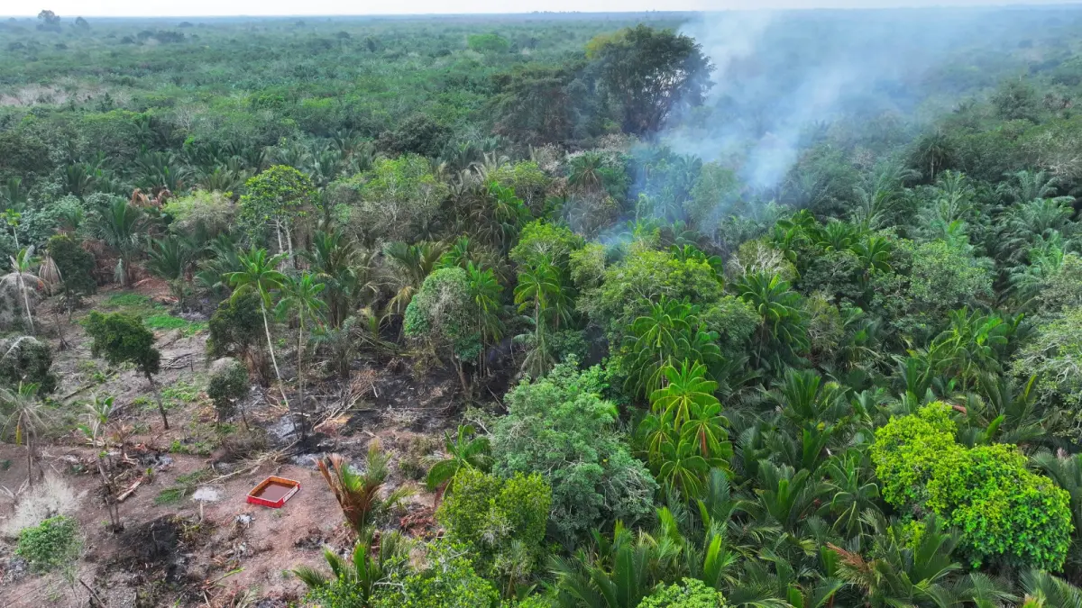 Bakar Lahan, Petani Sagu di Bengkalis Ditangkap Polisi
