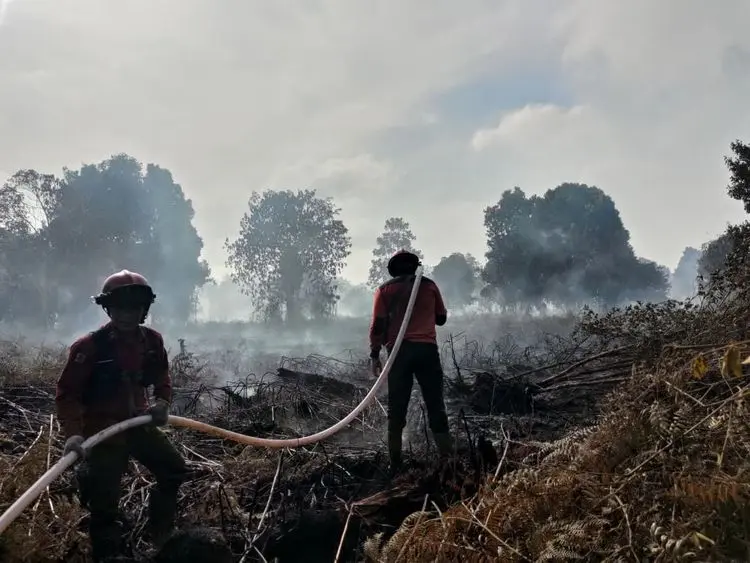 BMKG: Hari ini 160 Titik Api di Sumatera, 17 Titik Berada di Riau