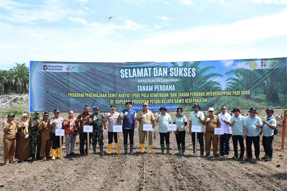 Bupati Asahan Gelorakan PSR Kemitraan dan Intercropping Padi Gogo, 181 Petani Koperasi Kesepakatan Mulai Replanting