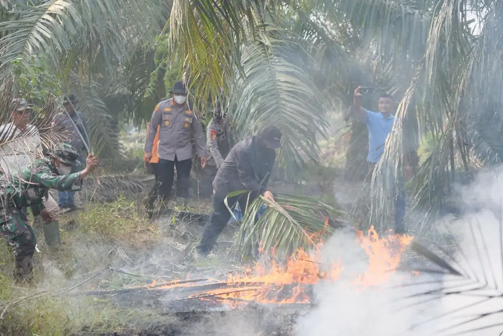 Bupati Siak Afni Turun, Karhutla Tasik Betung Langsung Padam