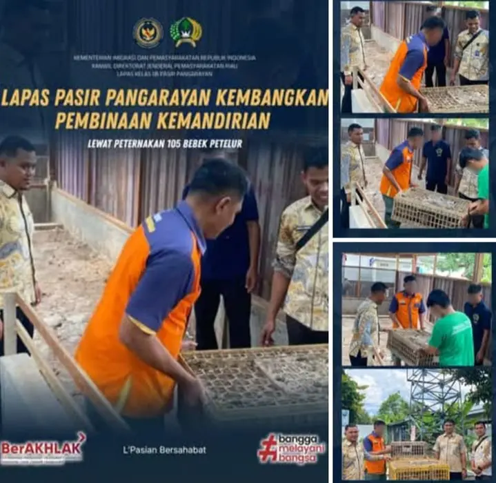 Cetak Warga Binaan Mandiri, Lapas Pasir Pangarayan Kembangkan Budidaya 105 Bebek Petelur