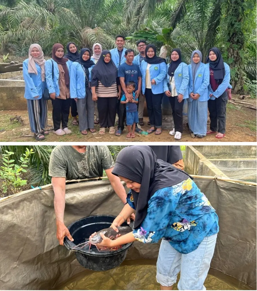 Dampingi Pembudidaya Desa Pasir Baru, Mahasiswa KUKERTA Unri Gelar Pelatihan Pemijahan Lele Alami