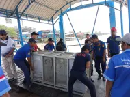 "Datuk Belang" Berkeliaran di Desa Benai Inhil, BBKSDA Riau Kirim Kandang Perangkap untuk Amankan