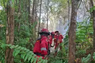 Di Rupat Sudah Padam, 4 Regu Manggala Agni Tuntaskan Karhutla di Bengkalis