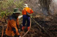 Thumbnail Dinilai Berhasil, Penanganan Karhutla di Riau jadi Pencontohan Nasional