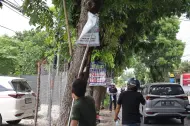 Ganggu Keindahan Kota, Bapenda Pekanbaru Tertibkan Iklan di Pohon