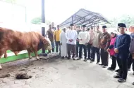 Bupati Taufik Pantau Penyembelihan Sapi Bantuan Presiden Prabowo di Masjid Al-Huda