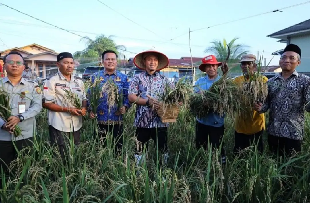 Ikut Panen Raya di Rumbai, Agung Nugroho Bangga di Pekanbaru Juga Bisa Tumbuh Padi