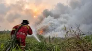 Thumbnail Inhu Menyala Merah! Wilayah di Riau Paling Banyak Sumbang Titik Panas Hari Ini