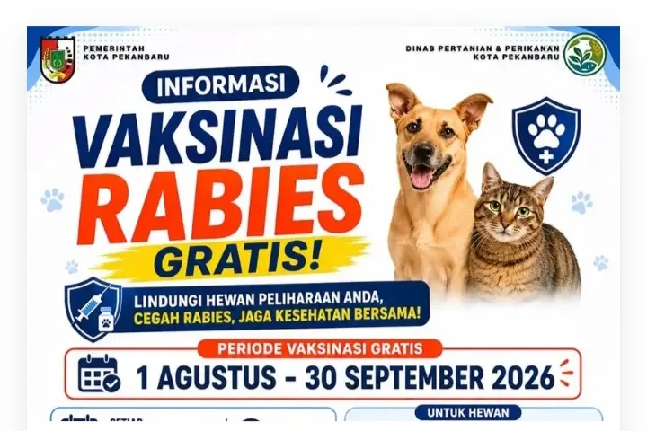 Kabar Gembira! Mulai Besok Distankan Beri Vaksin Rabies Gratis, Posko di RPH Cipta Karya dan Limbungan