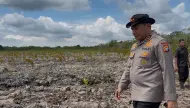 Kapolda Riau Turun Langsung, Sikat Perusak 118 Hektare Hutan Mangrove di Rohil
