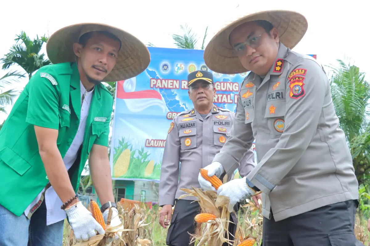 Kapolres Meranti Pimpin Panen Raya Jagung Dukung Ketahanan Pangan Nasional