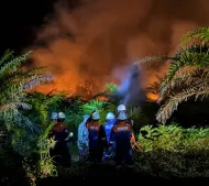 Karhutla Berjarak 50 Meter dari Sumur Minyak BSP, Bupati Afni Z Turun Langsung Hingga Dini Hari