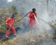 Karhutla Riau Mereda, Titik Panas Hanya Tersisa di Tiga Daerah
