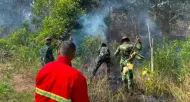 Kementerian Lingkungan Hidup Keluarkan SE Melarang Buka Lahan dengan Cara Dibakar