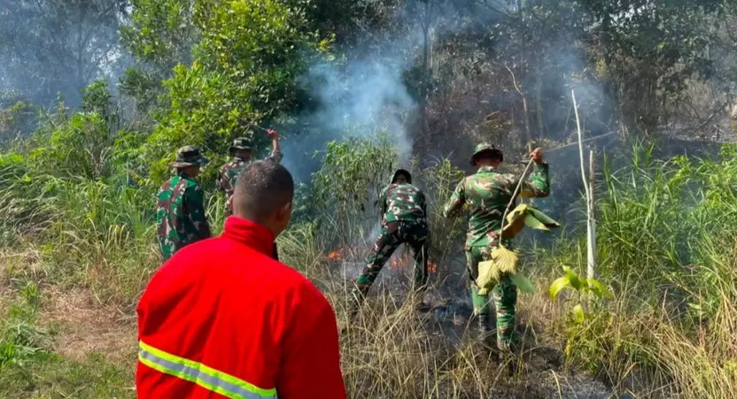 Kementerian Lingkungan Hidup Keluarkan SE Melarang Buka Lahan dengan Cara Dibakar