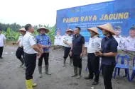 Lapas Labuhan Ruku Gelar Panen Raya Jagung Bersama Wabup Asahan