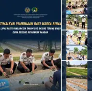 Lapas Pasir Pangarayan Latih Warga Binaan Budidaya 850 Terong Ungu
