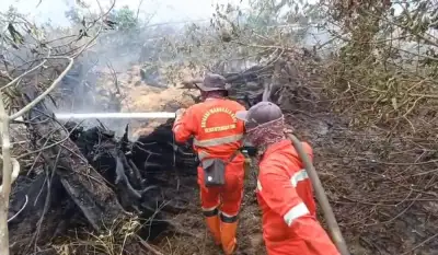 Manggala Agni Berhasil Padamkan Ribuan Hektar Karhutla di Riau, Keselamatan Masyarakat Prioritas Utama