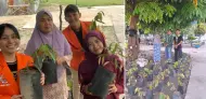 Optimalisasi Fungsi Ekologis Lahan, DPD GTAB Riau Dukung Penuh Aksi Penghijauan di Kampar Kiri