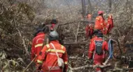 Pelaku Pembakar 180 Ha Lahan di Bengkalis Ditahan