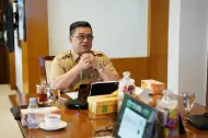 Pemprov Riau Perkuat Ekonomi Hijau, Perkebunan Nanas Jadi Peluang Usaha Berkelanjutan