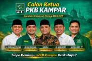 Peta Persaingan Ketua PKB Kampar: 8 Kandidat Masuk UKK DPP, 5 Nama Terpetakan Kuat
