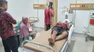 Thumbnail Petani Karet di Langgam Pelalawan Luka Parah Diserang Beruang Liar
