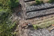 Polda Riau Selidiki Dugaan Perusakan 100 Hektare Hutan Mangrove di Rohil, Dir Reskrimsus: Akan Kami Usut Tuntas!